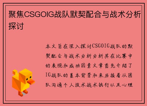 聚焦CSGOIG战队默契配合与战术分析探讨